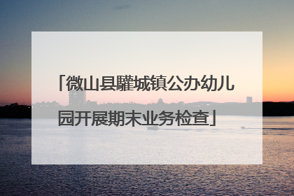微山县驩城镇公办幼儿园开展期末业务检查