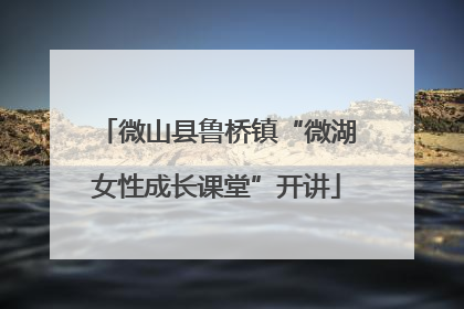微山县鲁桥镇“微湖女性成长课堂”开讲