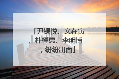 尹锡悦、文在寅、朴槿惠、李明博，纷纷出面