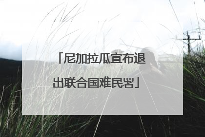 尼加拉瓜宣布退出联合国难民署