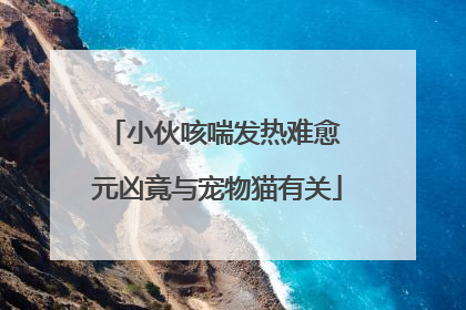 小伙咳喘发热难愈 元凶竟与宠物猫有关