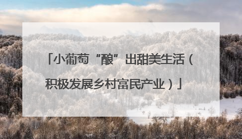 小葡萄“酿”出甜美生活（积极发展乡村富民产业）