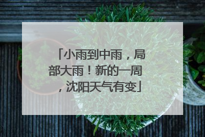 小雨到中雨，局部大雨！新的一周，沈阳天气有变