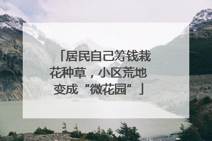 居民自己筹钱栽花种草，小区荒地变成“微花园”