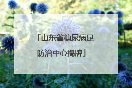 山东省糖尿病足防治中心揭牌