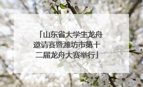 山东省大学生龙舟邀请赛暨潍坊市第十二届龙舟大赛举行