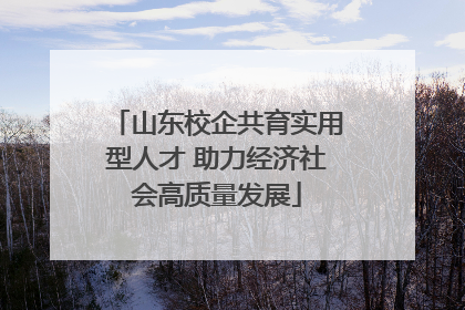山东校企共育实用型人才 助力经济社会高质量发展
