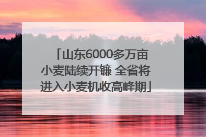 山东6000多万亩小麦陆续开镰 全省将进入小麦机收高峰期