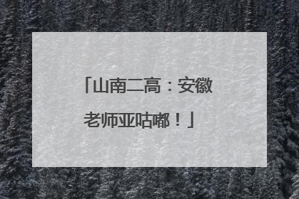 山南二高：安徽老师亚咕嘟！