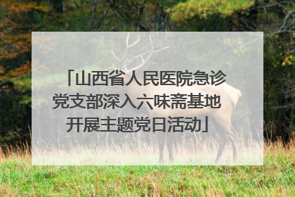 山西省人民医院急诊党支部深入六味斋基地开展主题党日活动