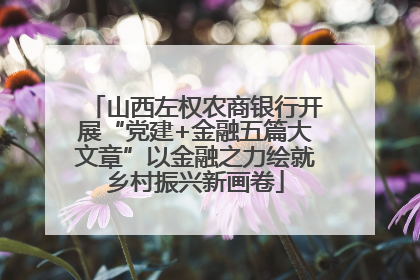 山西左权农商银行开展“党建+金融五篇大文章”以金融之力绘就乡村振兴新画卷