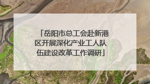 岳阳市总工会赴新港区开展深化产业工人队伍建设改革工作调研