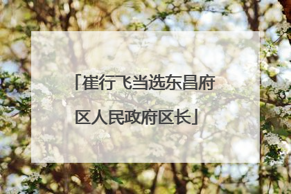 崔行飞当选东昌府区人民政府区长