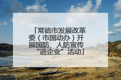 常德市发展改革委（市国动办）开展国防、人防宣传“进企业”活动