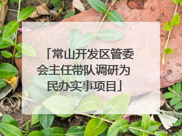 常山开发区管委会主任带队调研为民办实事项目