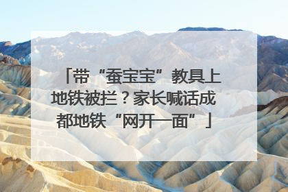 带“蚕宝宝”教具上地铁被拦？家长喊话成都地铁“网开一面”