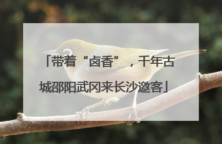 带着“卤香”，千年古城邵阳武冈来长沙邀客