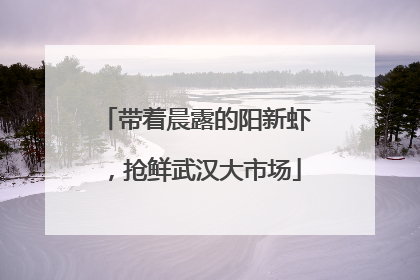 带着晨露的阳新虾，抢鲜武汉大市场