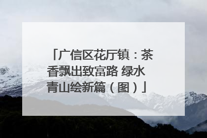 广信区花厅镇：茶香飘出致富路 绿水青山绘新篇（图）
