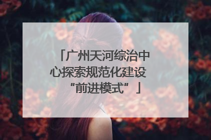 广州天河综治中心探索规范化建设“前进模式”