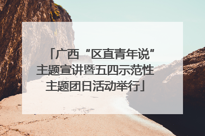 广西“区直青年说”主题宣讲暨五四示范性主题团日活动举行