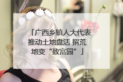 广西乡镇人大代表推动土地盘活 撂荒地变“致富园”