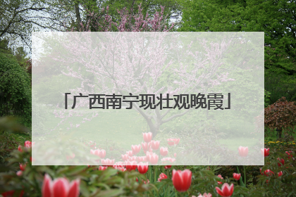 广西南宁现壮观晚霞