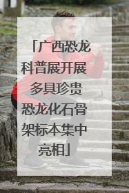 广西恐龙科普展开展 多具珍贵恐龙化石骨架标本集中亮相