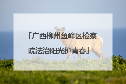 广西柳州鱼峰区检察院法治阳光护青春