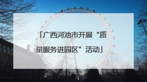 广西河池市开展“质量服务进园区”活动