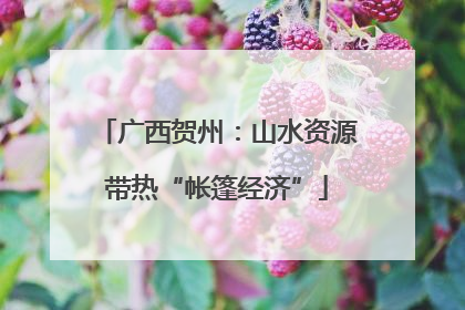 广西贺州：山水资源带热“帐篷经济”