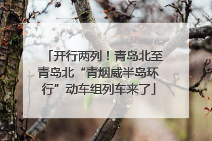 开行两列！青岛北至青岛北“青烟威半岛环行”动车组列车来了