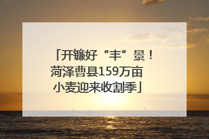 开镰好“丰”景！菏泽曹县159万亩小麦迎来收割季