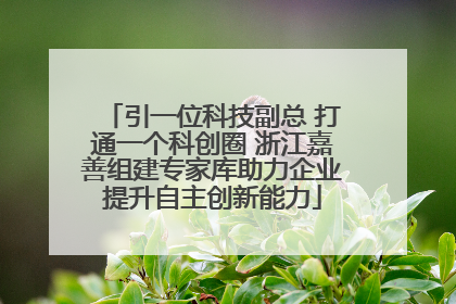 引一位科技副总 打通一个科创圈 浙江嘉善组建专家库助力企业提升自主创新能力