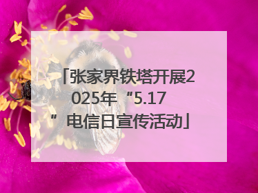 张家界铁塔开展2025年“5.17”电信日宣传活动