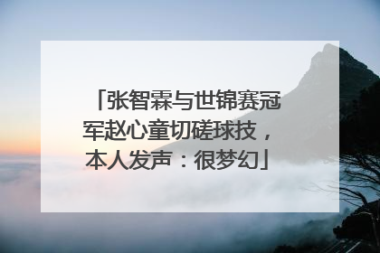 张智霖与世锦赛冠军赵心童切磋球技，本人发声：很梦幻