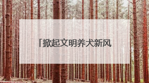 掀起文明养犬新风尚 青岛市市南区举办“宠爱有方 文明相伴”文明养犬主题宣传活动