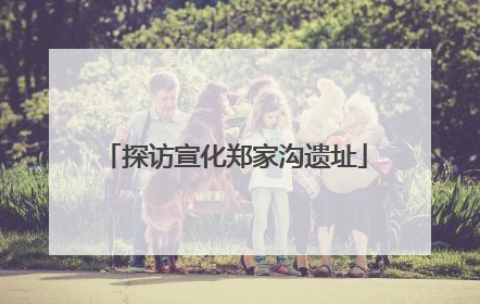 探访宣化郑家沟遗址