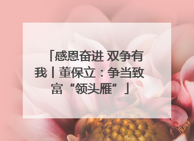 感恩奋进 双争有我丨董保立：争当致富“领头雁”