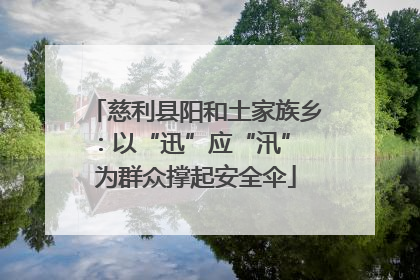 慈利县阳和土家族乡：以“迅”应“汛” 为群众撑起安全伞