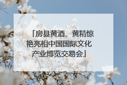 房县黄酒、黄精惊艳亮相中国国际文化产业博览交易会