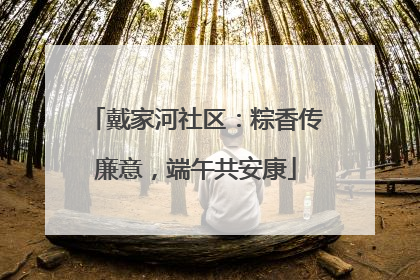 戴家河社区：粽香传廉意，端午共安康