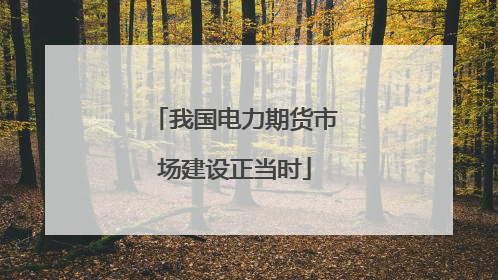 我国电力期货市场建设正当时