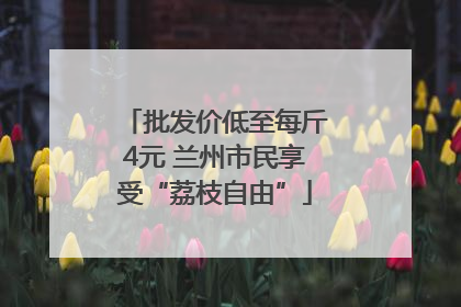 批发价低至每斤4元 兰州市民享受“荔枝自由”