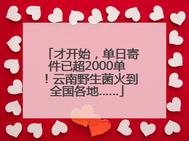才开始，单日寄件已超2000单！云南野生菌火到全国各地……