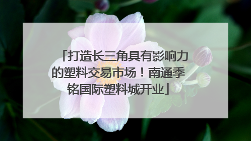 打造长三角具有影响力的塑料交易市场！南通季铭国际塑料城开业