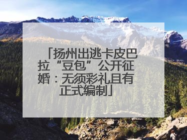 扬州出逃卡皮巴拉“豆包”公开征婚：无须彩礼且有正式编制