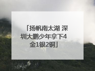 扬帆南太湖 深圳大鹏少年拿下4金1银2铜
