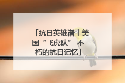 抗日英雄谱丨美国“飞虎队” 不朽的抗日记忆