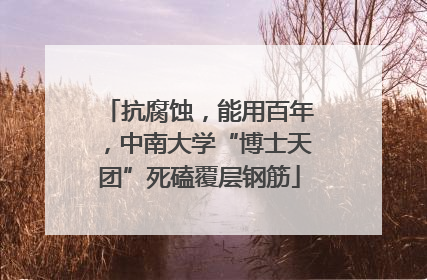 抗腐蚀，能用百年，中南大学“博士天团”死磕覆层钢筋
